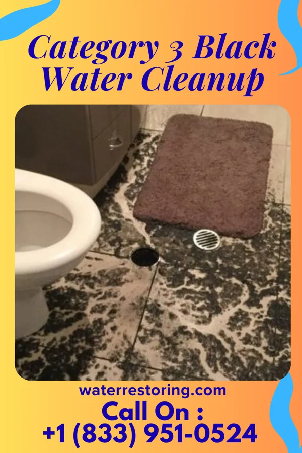Category 3 Black Water Cleanup in Kiowa, OK